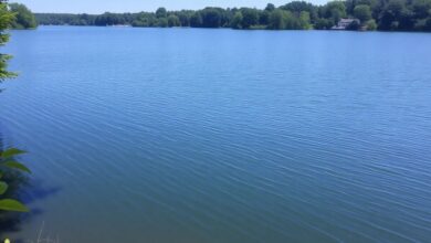 Anglers fishing at Cambridge Crest Lake on a sunny day.