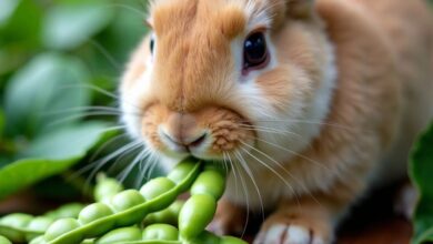 Rabbit eating fresh edamame pods in green surroundings.