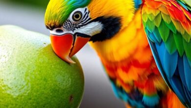 Parrot examining a ripe avocado on a wooden surface.